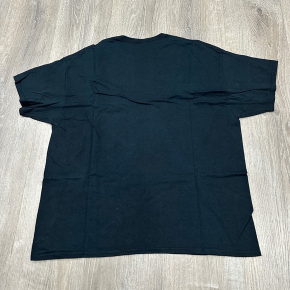 Gildan Heavy Mens 2XL Black Dave Alvin Phil Alvin Yep Roc Records Concert TShirt - Picture 6 of 9